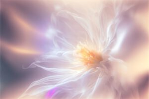 Blume im Sonnenschein von Natalja