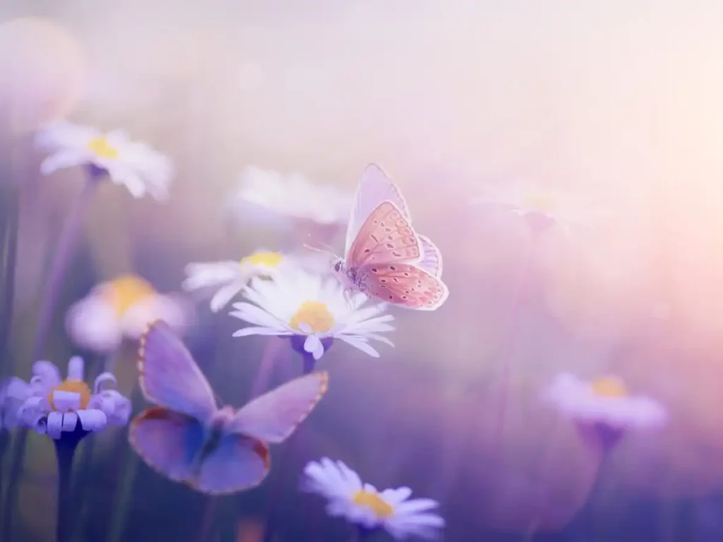 Blume mit Schmetterling von Konstiantyn