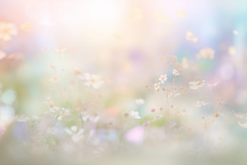 Blumenwiese von Natalja