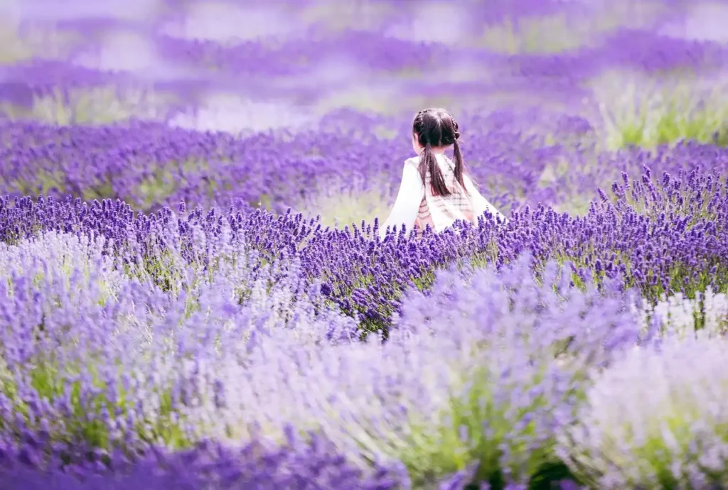 Lavendel mit Kind von Deborah Hudson in Unsplash